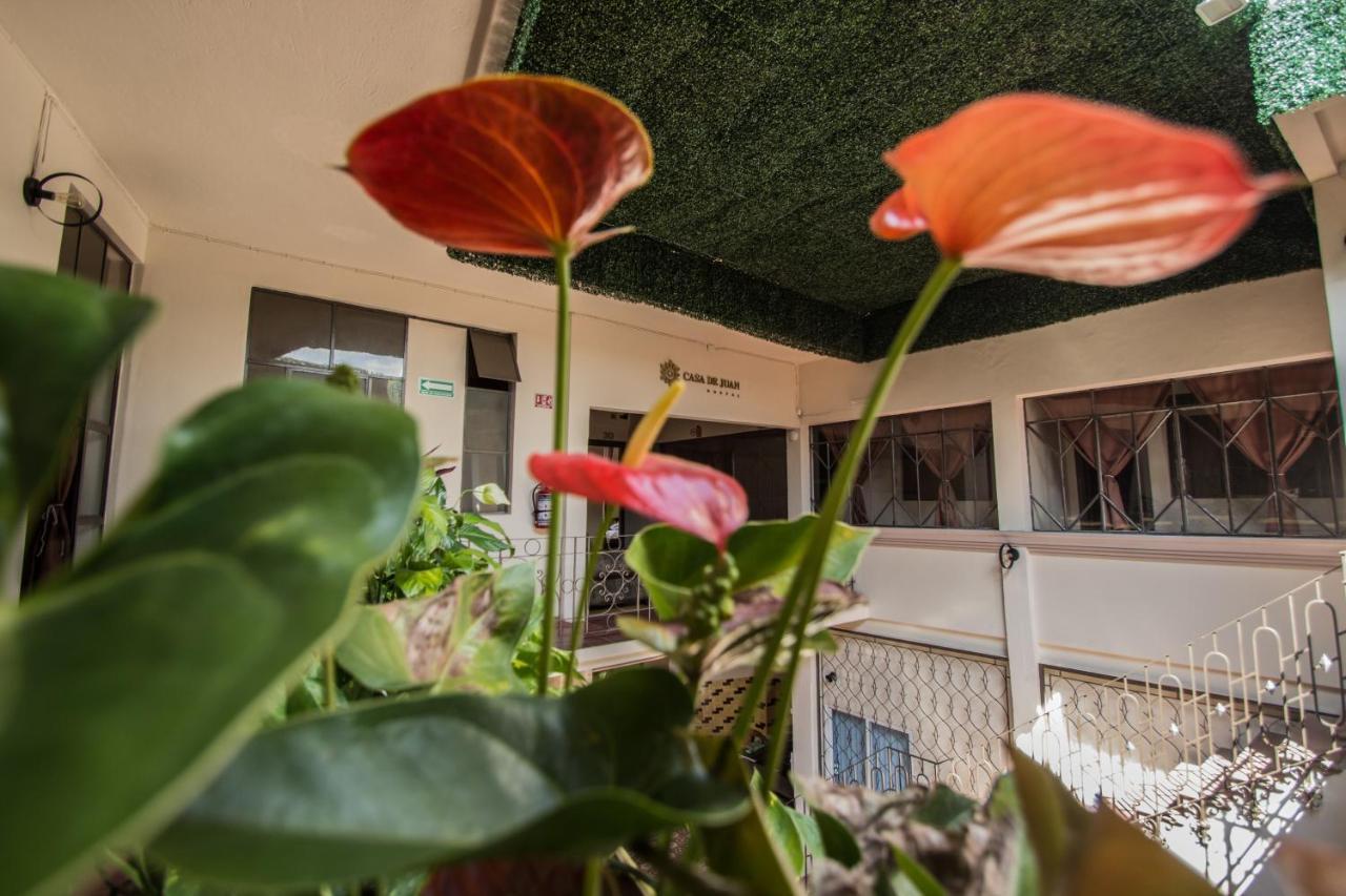 Casa De Juan Hostal Xalapa Exterior foto
